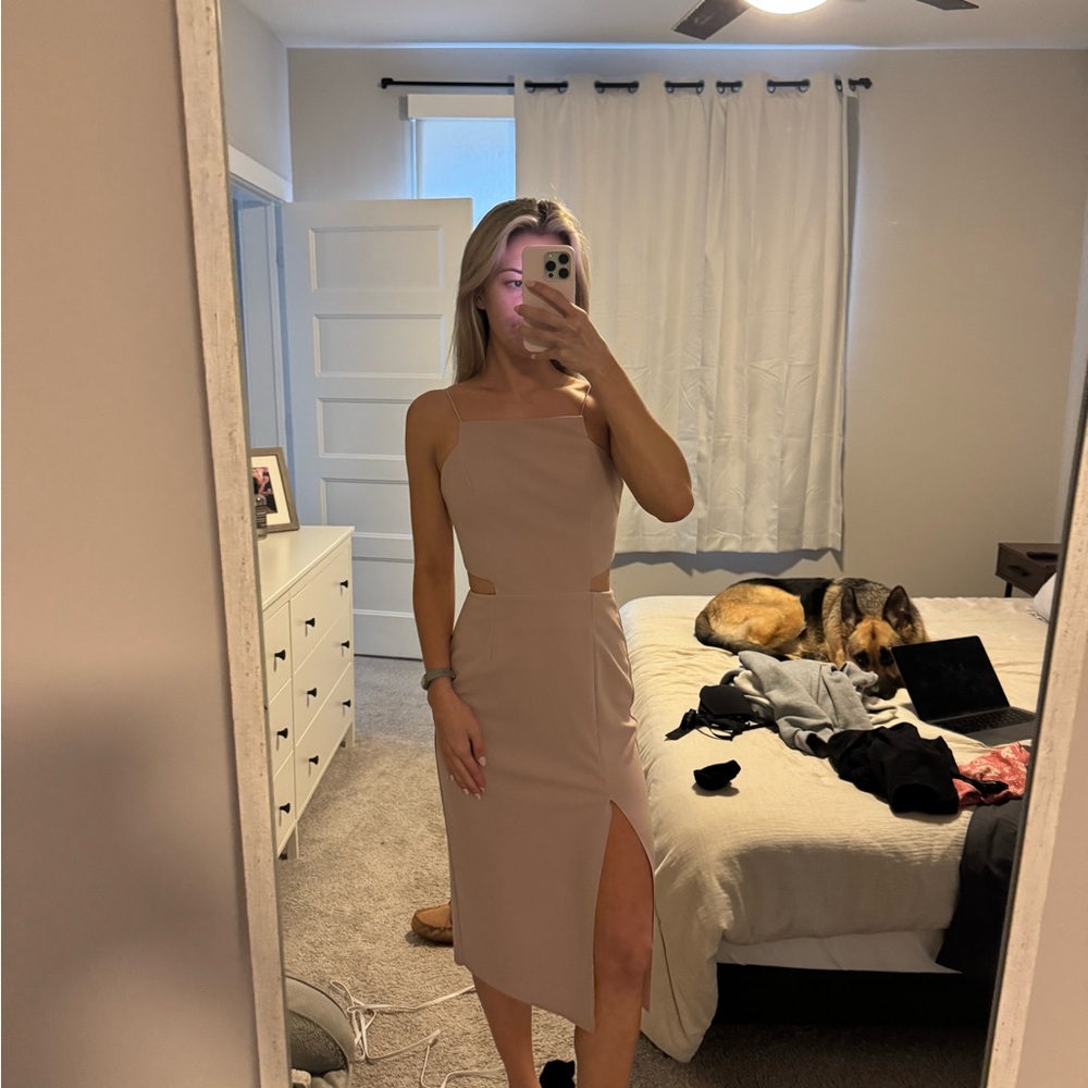 Revolve pink body on Dress